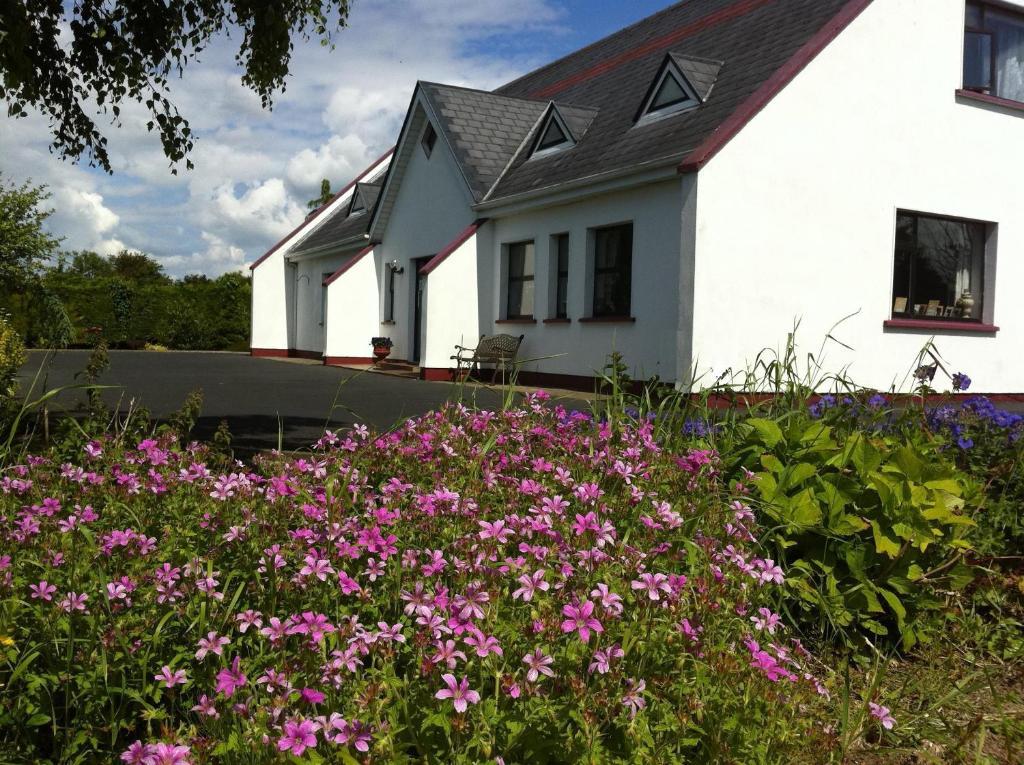 Coonagh Lodge B&B Limerick Junction Eksteriør bilde